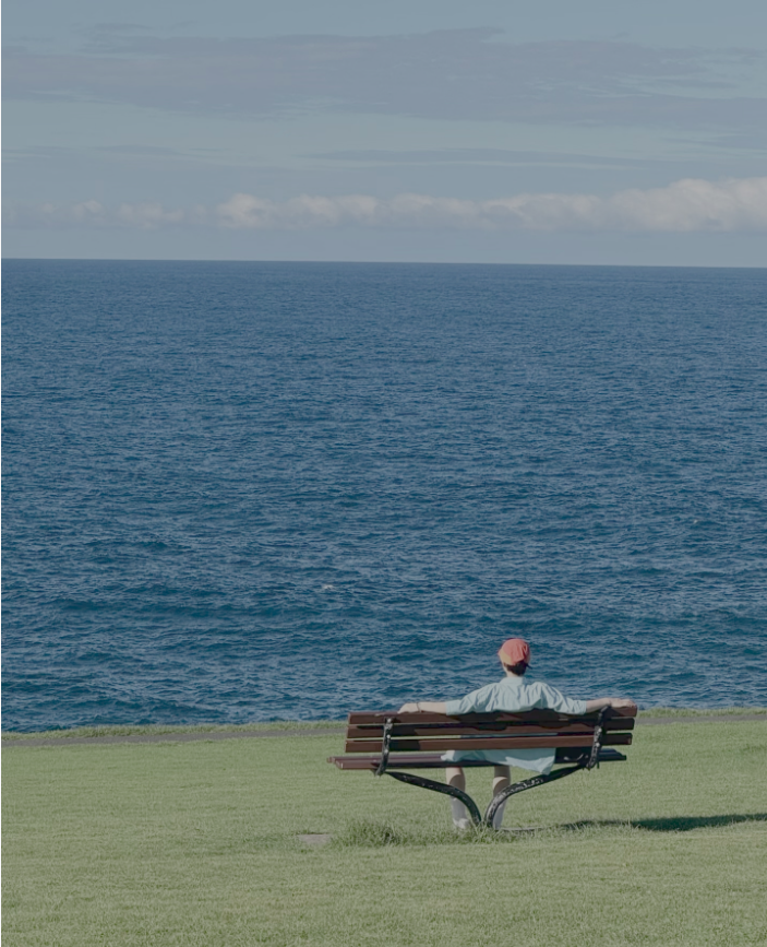 2026最热门的小国护照对比：圣基茨、圣卢西亚、格林纳达、瓦努阿图，安提瓜