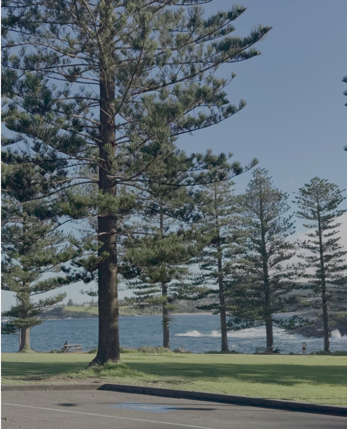 揭秘！高净值人群重仓小国护照的核心逻辑：不仅是身份，更是财富保险箱